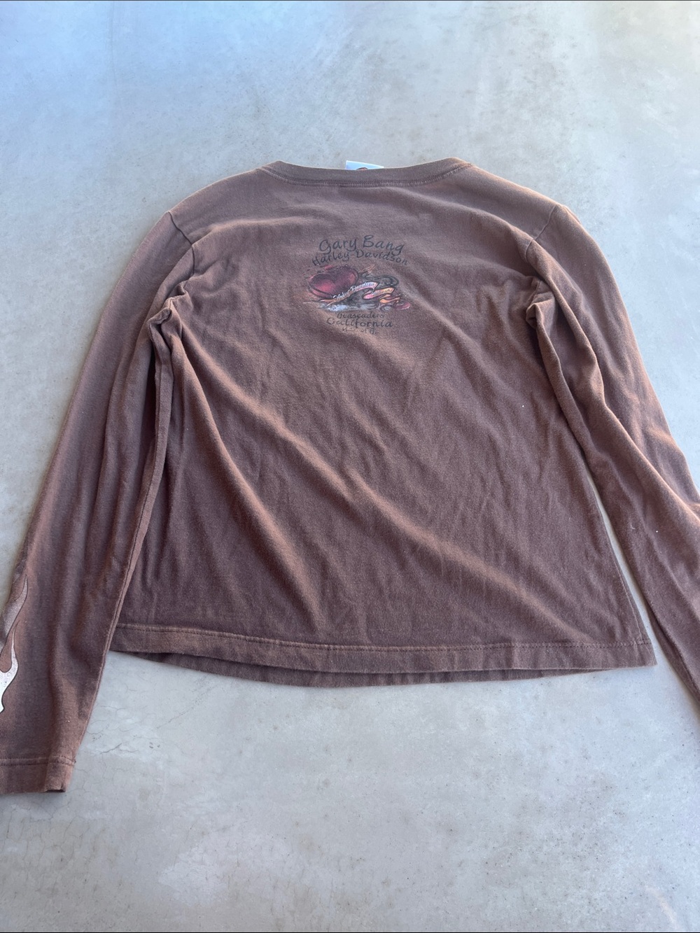 Harley-Davidson Brown Long Sleeve Logo Tee with Cream Graphic - Picture 3 of 4